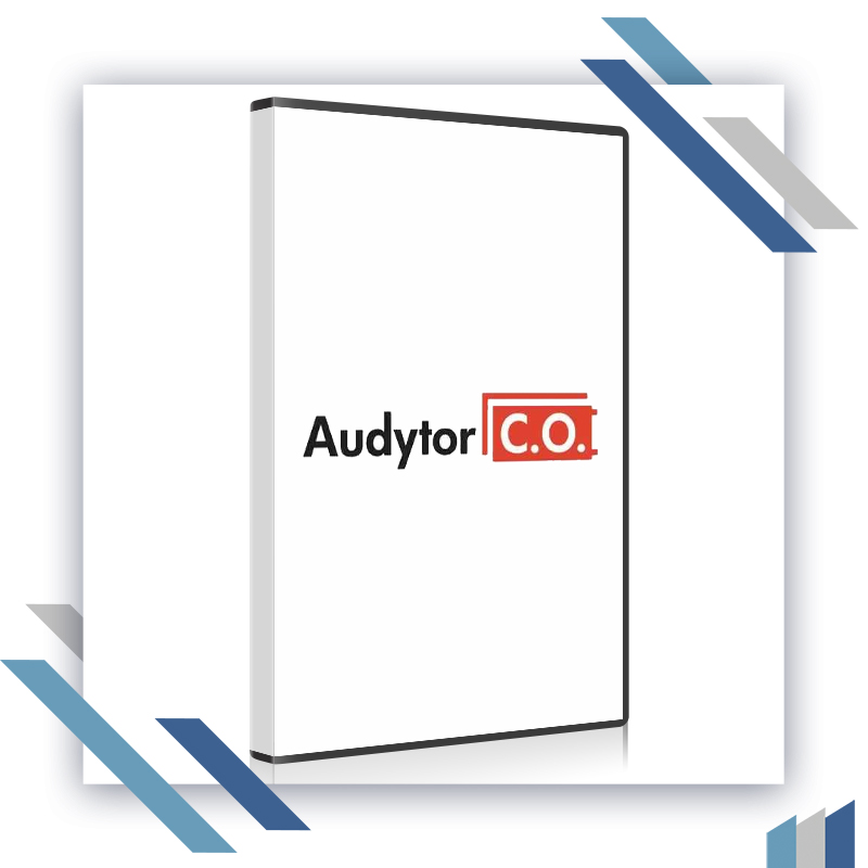 Audytor CO